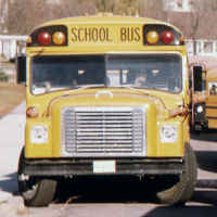 What are some disadvantages of bus network topologies?