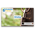 Whaling – CompTIA Security+ SY0-401: 3.3 Whaling – CompTIA Security+ SY0-401: 3.3
